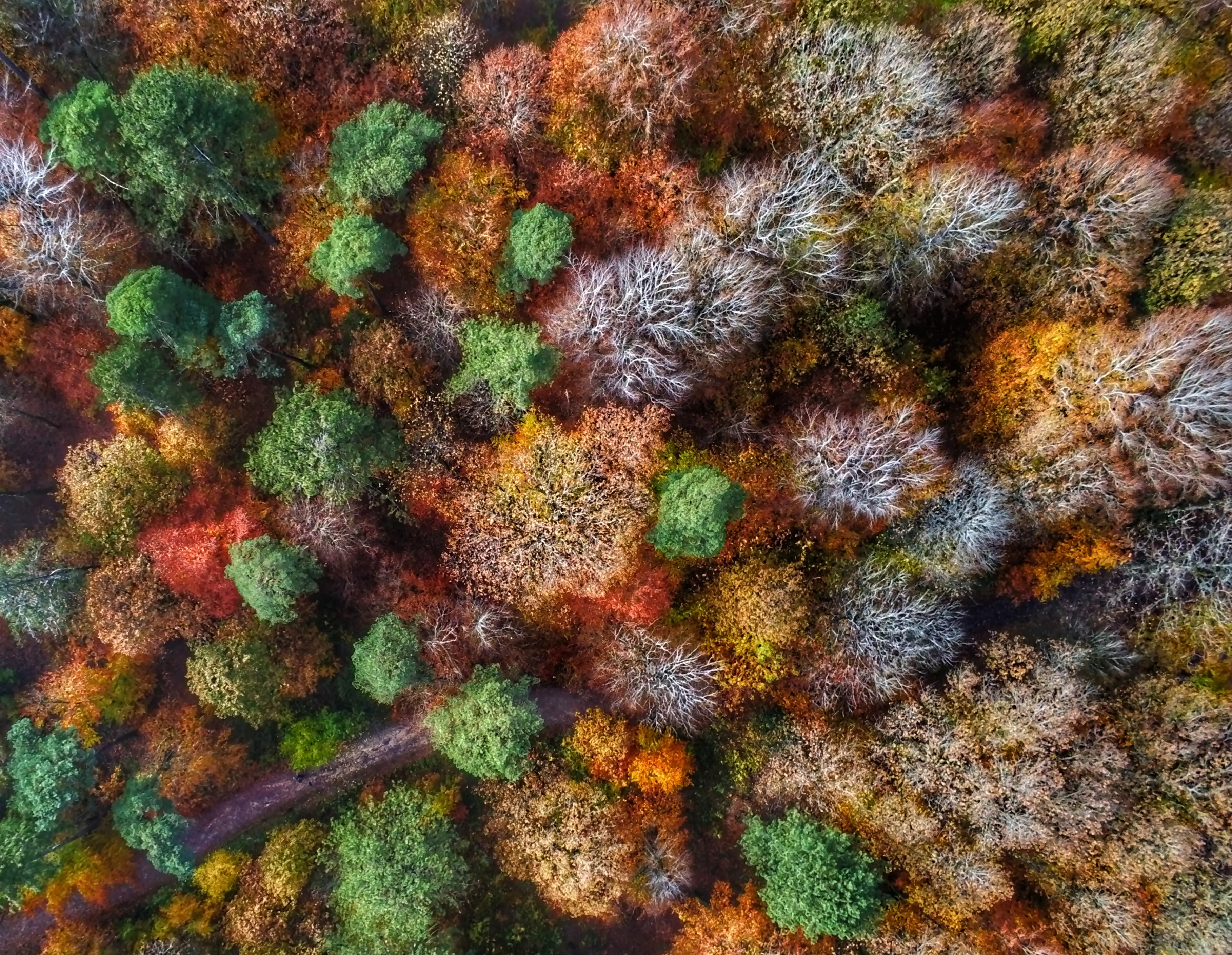L'essence de la nature